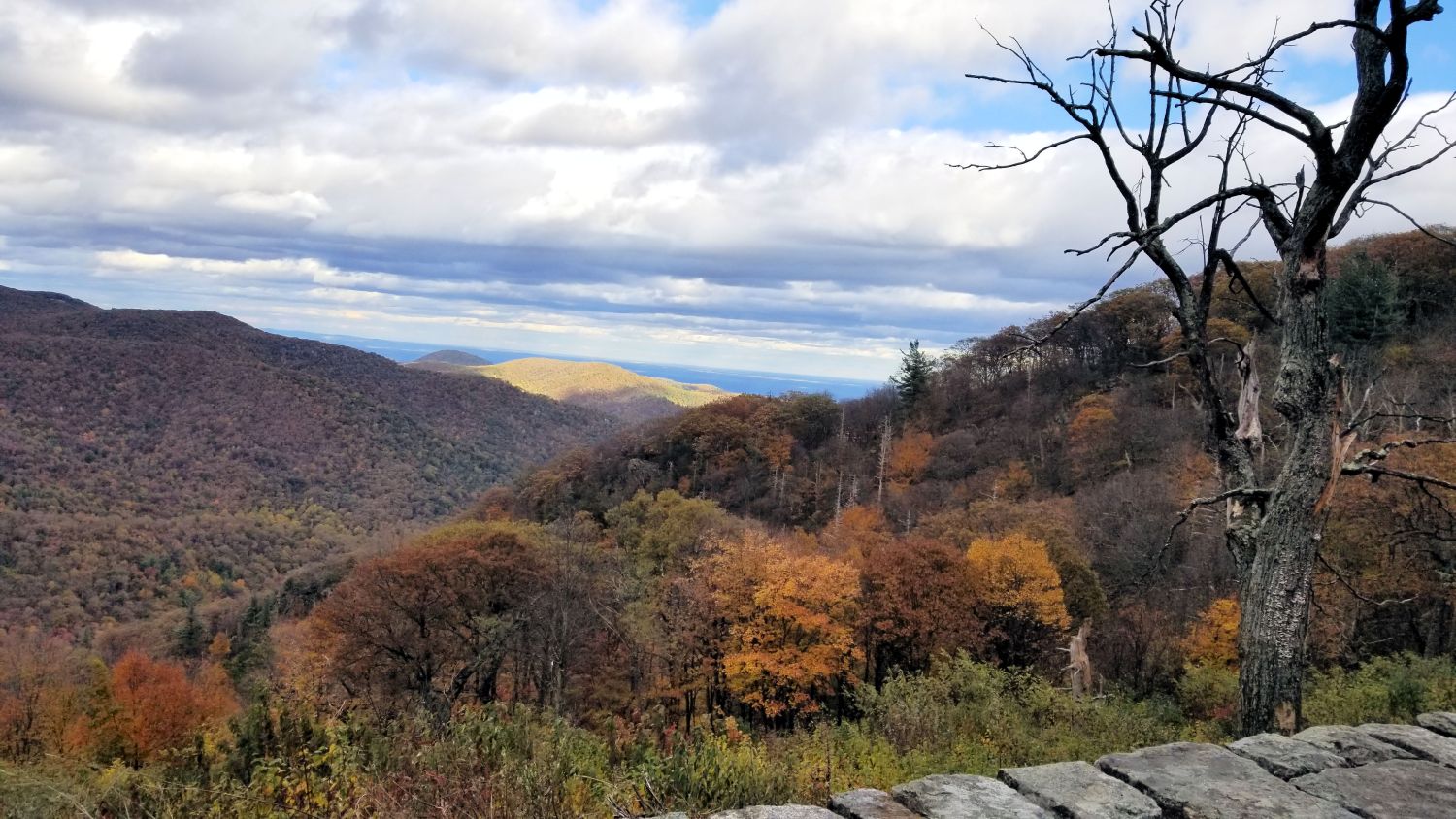 Scenic Drive Over Looks 